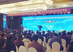 山东省第十二次手外科学学术会议/第三次显微外科学学术会议于济南隆重召开